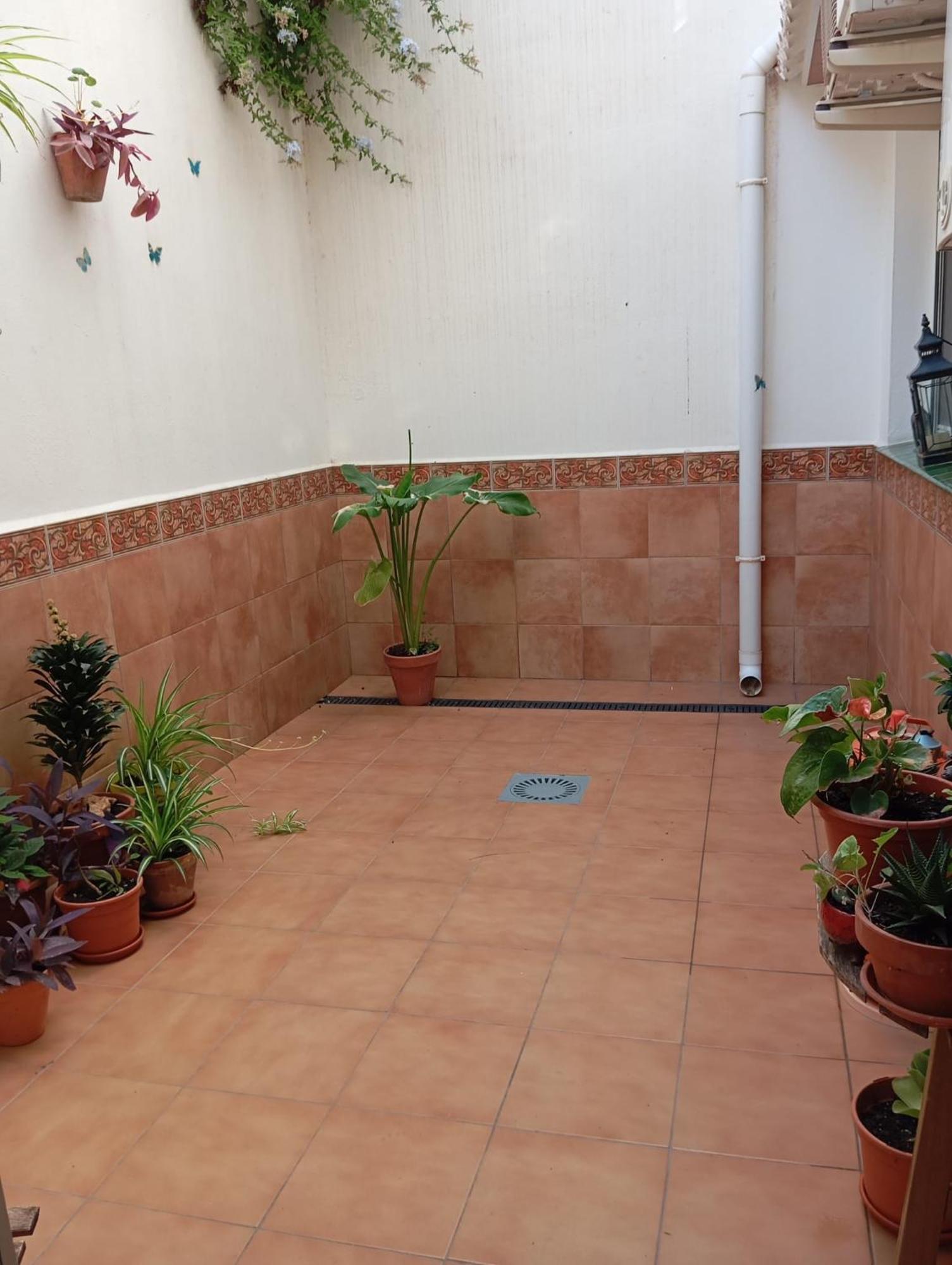 Apartamento Amapola 马拉加 外观 照片