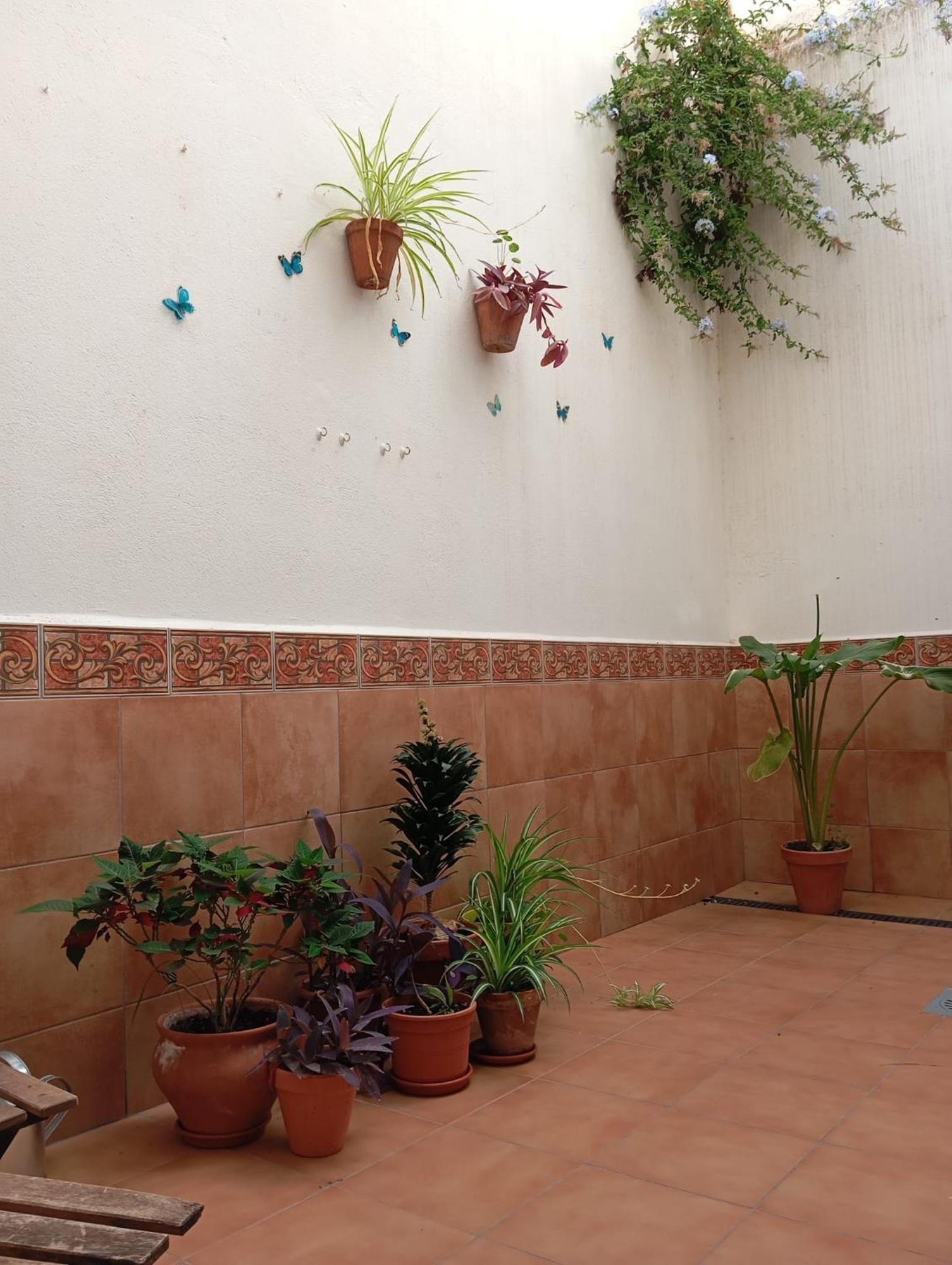 Apartamento Amapola 马拉加 外观 照片